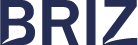 Логотип BRIZ Логотип BRIZ