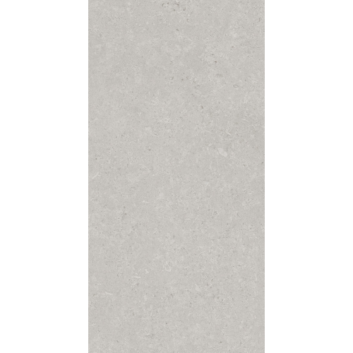 Керамогранит AVS by Italian Design Velluto Grey 60x120 Moon Light Stone Керамогранит AVS by Italian Design Velluto Grey 60x120 Moon Light Stone