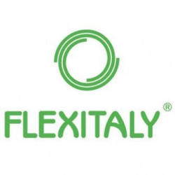 Логотип Flexitaly Логотип Flexitaly